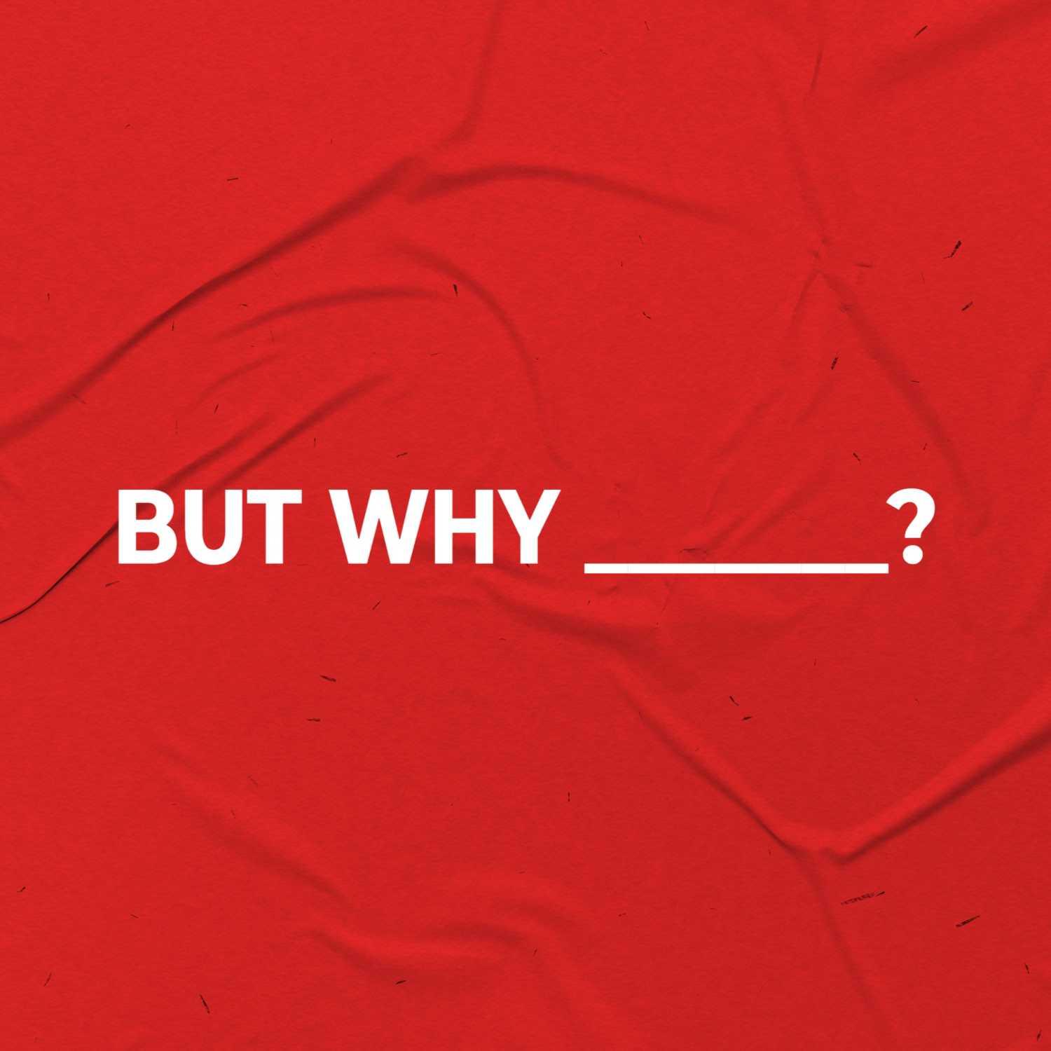 But Why Spirit Baptism? artwork