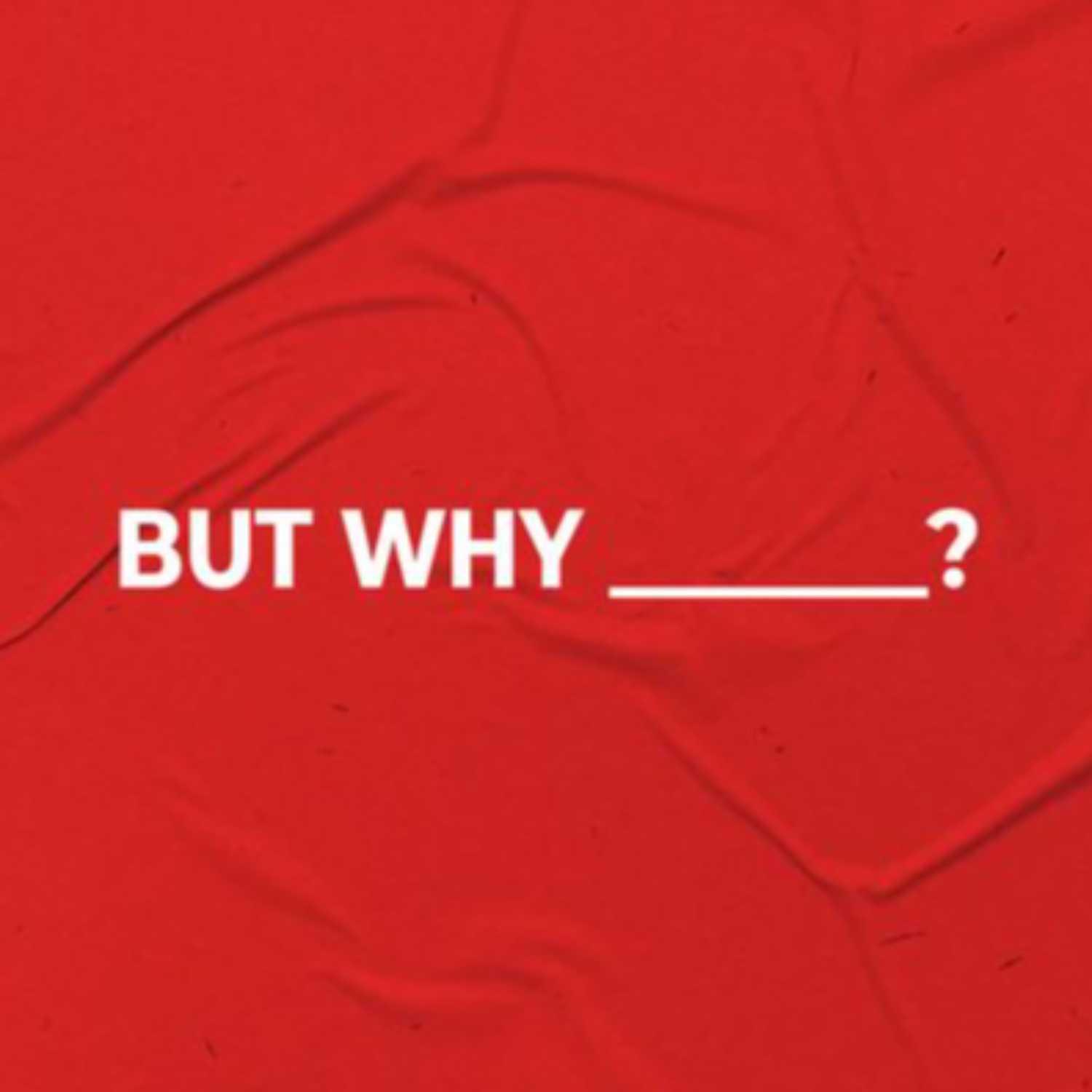 But Why The Holy Spirit? artwork